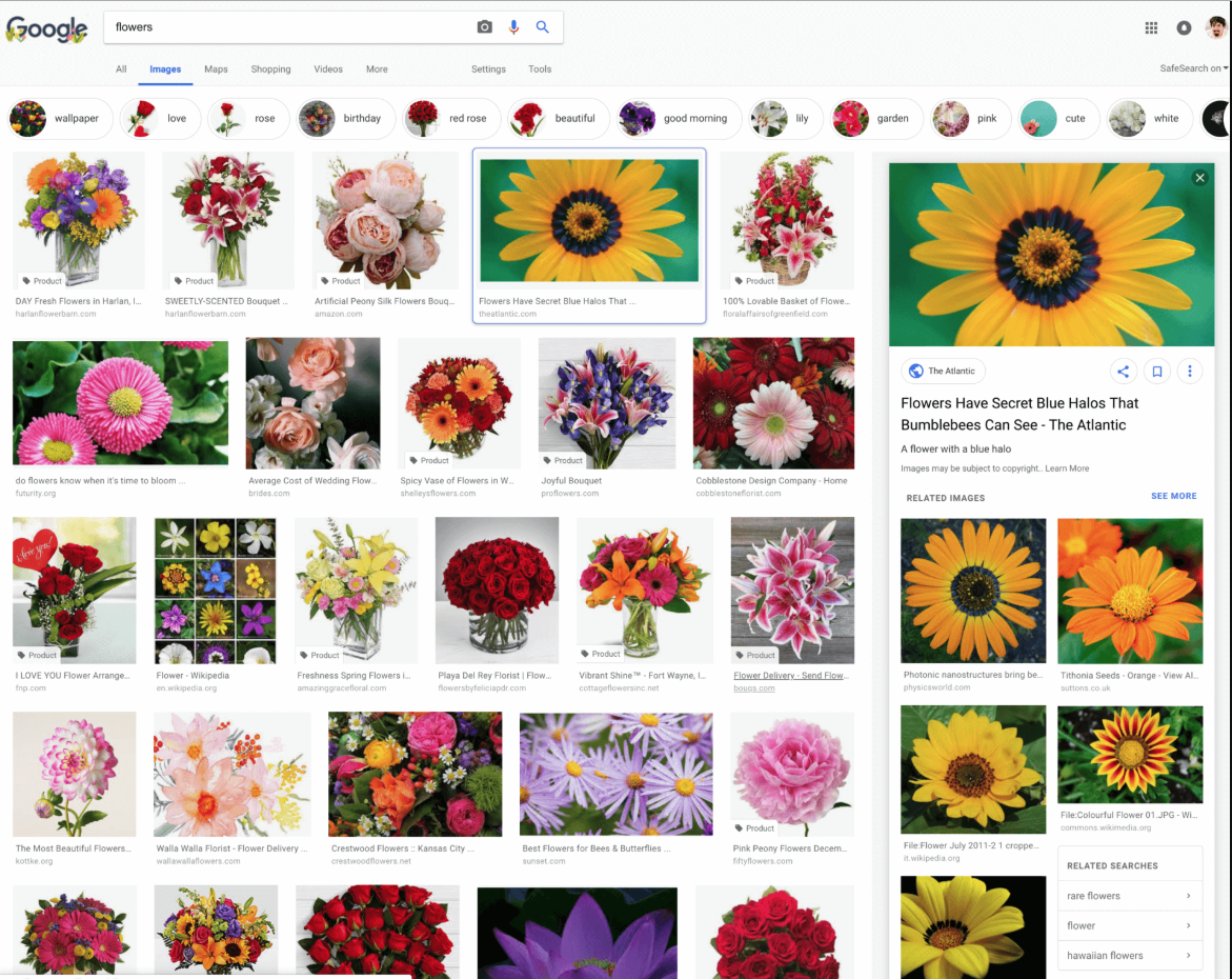 google-images-refonte